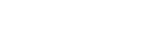 brasdes.png